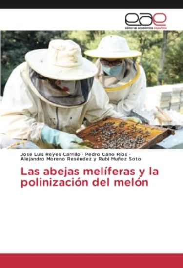 Las abejas melíferas y la polinización del melón