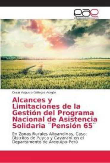 Alcances y Limitaciones de la Gestión del Programa Nacional de Asistencia Solidaria ]Pensión 65]