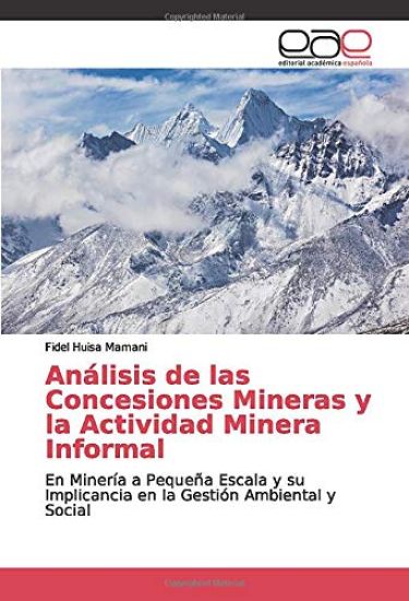 Análisis de las Concesiones Mineras y la Actividad Minera Informal