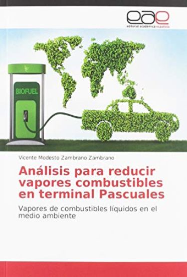 Análisis para reducir vapores combustibles en terminal Pascuales