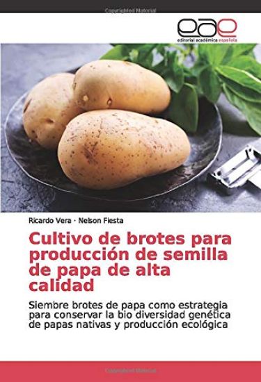 Cultivo de brotes para producción de semilla de papa de alta calidad