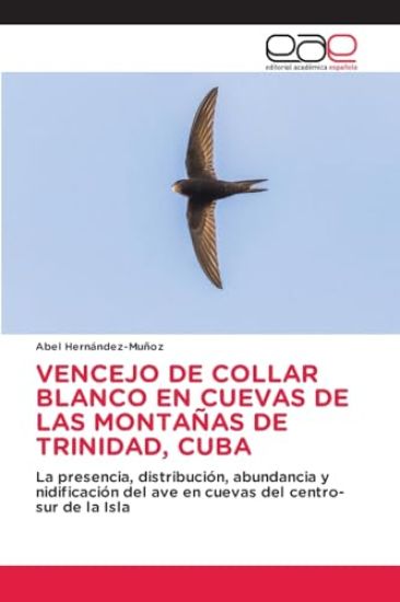 Vencejo de Collar Blanco En Cuevas de Las Montañas de Trinidad, Cuba