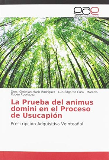 La Prueba del animus domini en el Proceso de Usucapión