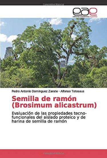 Semilla de ramón (Brosimum alicastrum)