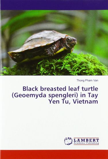Black breasted leaf turtle (Geoemyda spengleri) in Tay Yen Tu, Vietnam