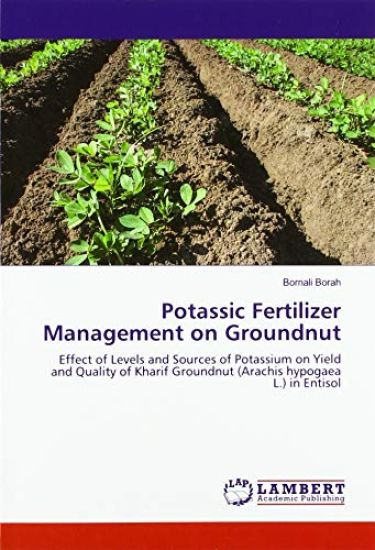 Potassic Fertilizer Management on Groundnut