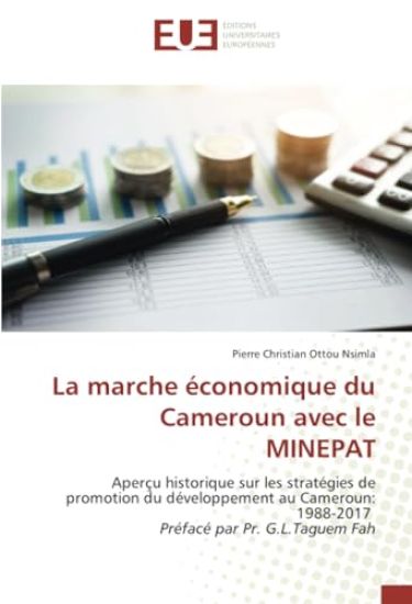 La marche économique du Cameroun avec le MINEPAT