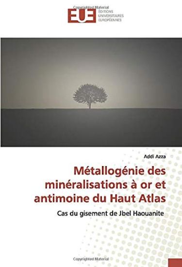 Métallogénie des minéralisations à or et antimoine du Haut Atlas