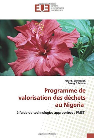 Programme de valorisation des déchets au Nigeria
