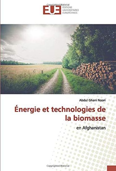 Énergie et technologies de la biomasse