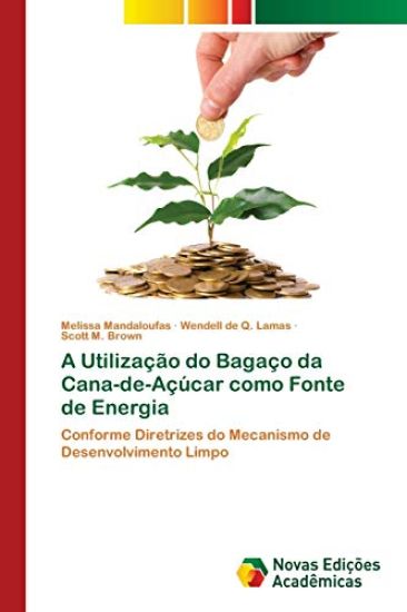 A Utilização do Bagaço da Cana-de-Açúcar como Fonte de Energia