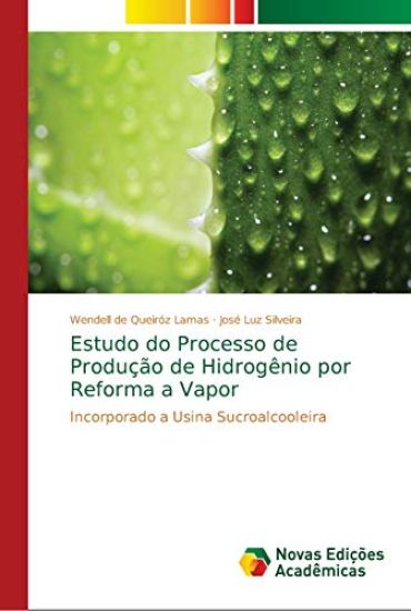 Estudo do Processo de Produção de Hidrogênio por Reforma a Vapor