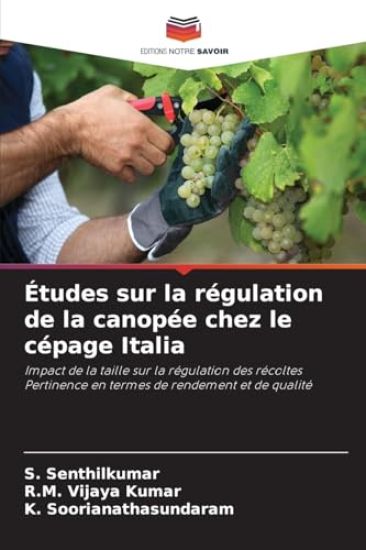 Études sur la régulation de la canopée chez le cépage Italia