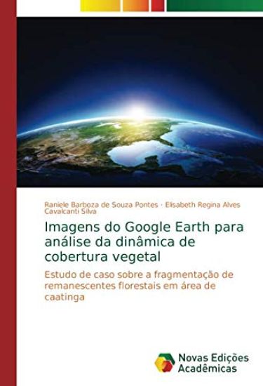 Imagens do Google Earth para análise da dinâmica de cobertura vegetal