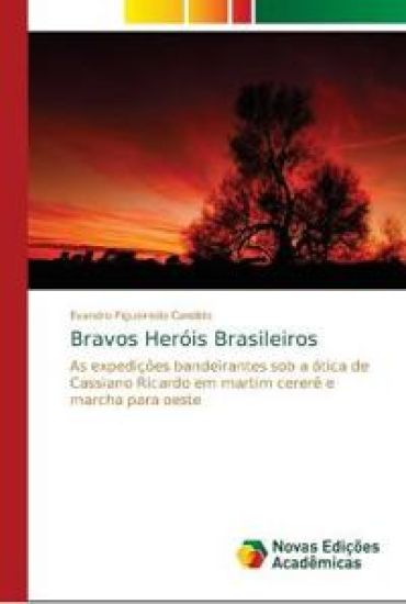 Bravos Heróis Brasileiros