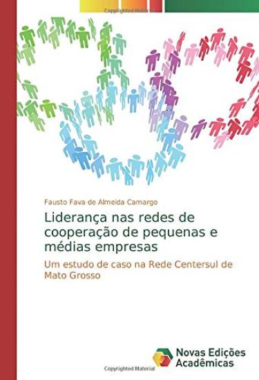 Liderança nas redes de cooperação de pequenas e médias empresas