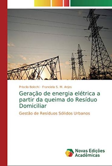 Geração de energia elétrica a partir da queima do Resíduo Domiciliar