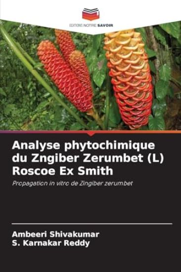 Analyse phytochimique du Zngiber Zerumbet (L) Roscoe Ex Smith