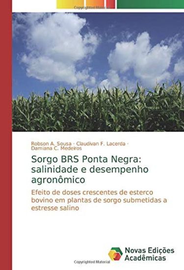 Sorgo BRS Ponta Negra: salinidade e desempenho agronômico