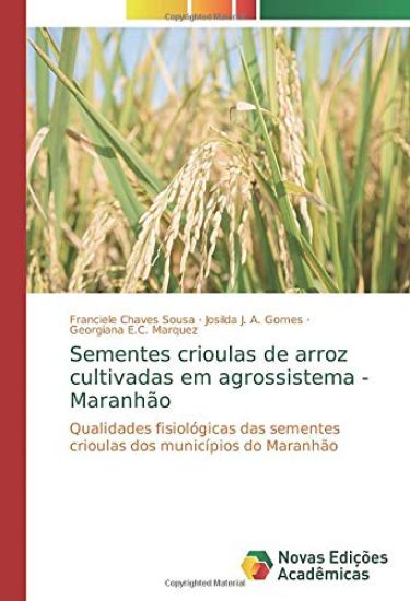 Sementes crioulas de arroz cultivadas em agrossistema - Maranhão