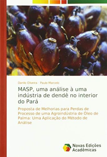MASP, uma análise à uma indústria de dendê no interior do Pará