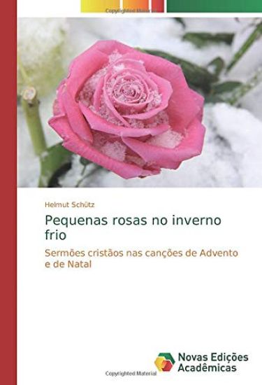 Pequenas rosas no inverno frio