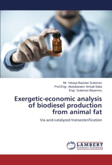 Exergetic-economic analysis of biodiesel production from animal fat