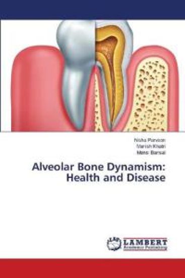 Alveolar Bone Dynamism