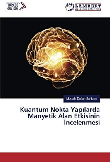 Kuantum Nokta Yap¿larda Manyetik Alan Etkisinin ¿ncelenmesi
