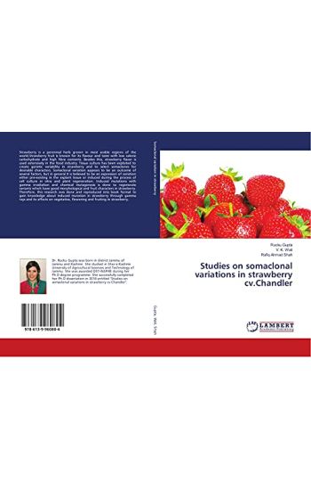 Studies on somaclonal variations in strawberry cv.Chandler