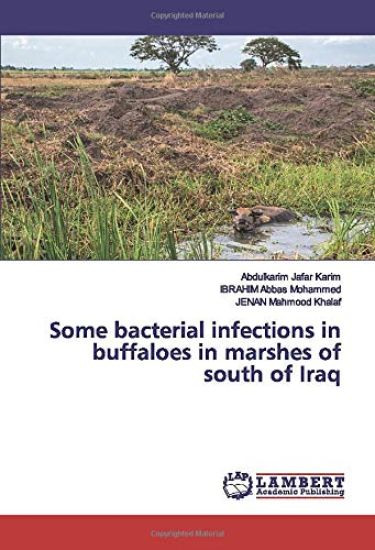 Some bacterial infections in buffaloes in marshes of south of Iraq