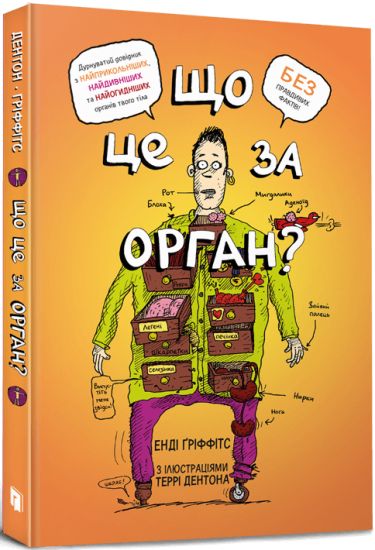 Scho tse za organ? Durnuvatij dovidnik z anatomiji tvogo tila