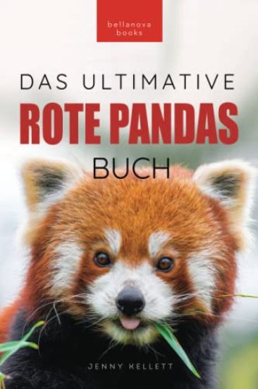 Rote Pandas Das Ultimative Buch