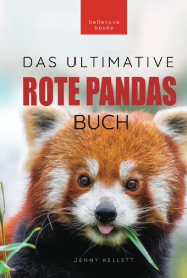 Rote Pandas Das Ultimative Buch