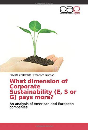 What dimension of Corporate Sustainability (E, S or G) pays more?
