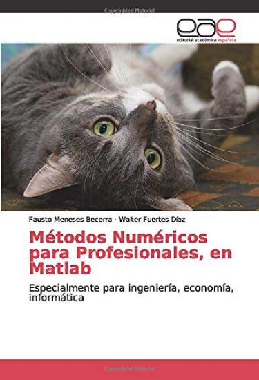 Métodos Numéricos para Profesionales, en Matlab