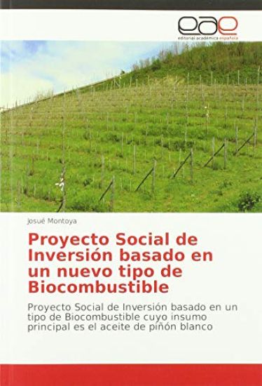 Proyecto Social de Inversión basado en un nuevo tipo de Biocombustible