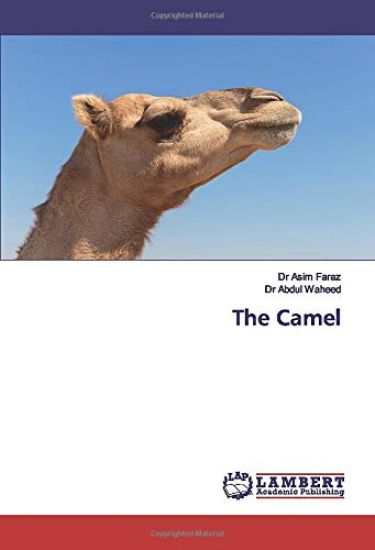 The Camel