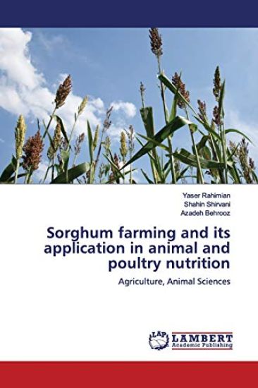 Sorghum farming and its application in animal and poultry nutrition