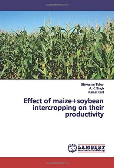 Effect of maize+soybean intercropping on their productivity