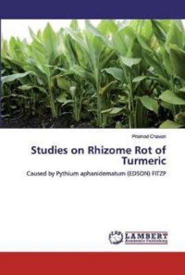 Studies on Rhizome Rot of Turmeric