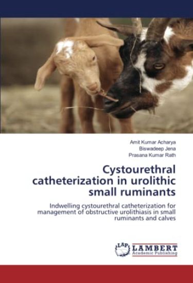 Cystourethral catheterization in urolithic small ruminants