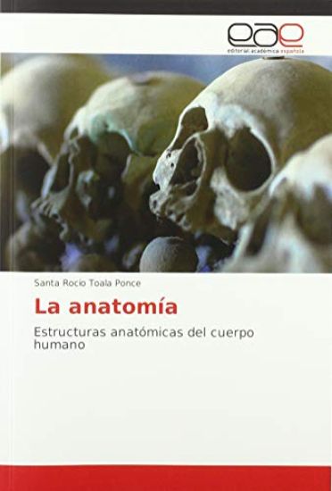 La anatomía