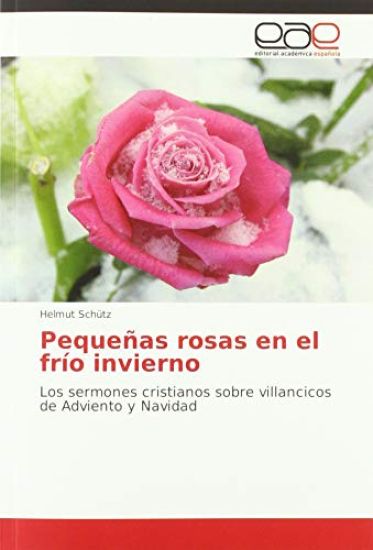 Pequeñas rosas en el frío invierno