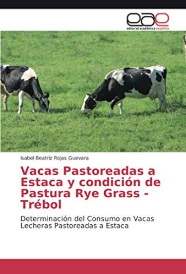 Vacas Pastoreadas a Estaca y condición de Pastura Rye Grass - Trébol