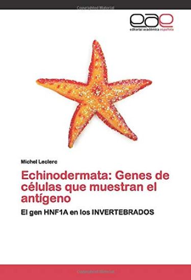Echinodermata: Genes de células que muestran el antígeno