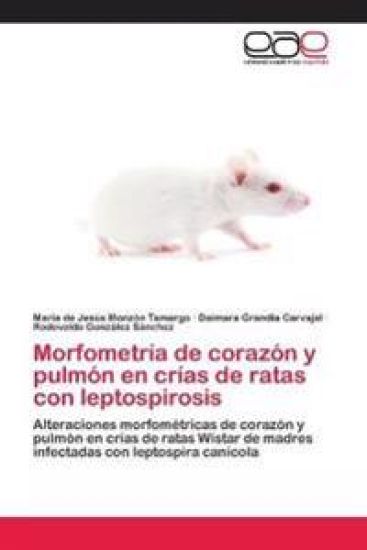 Morfometría de corazón y pulmón en crías de ratas con leptospirosis