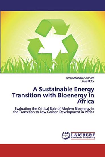 A Sustainable Energy Transition with Bioenergy in Africa