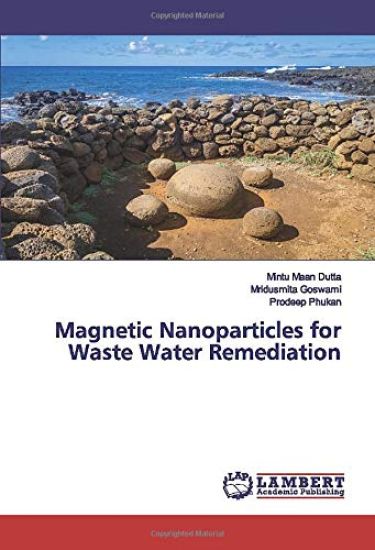 Magnetic Nanoparticles for Waste Water Remediation