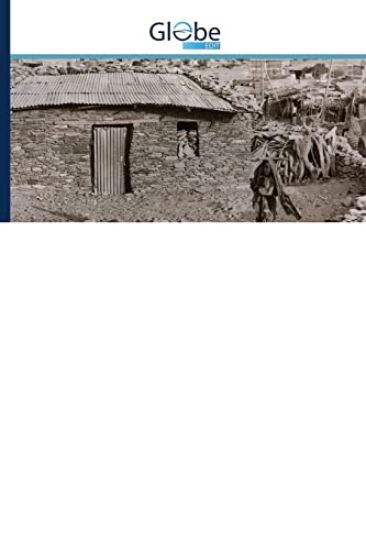 Violent Extremism and Development in the Lake Chad Region, 1960-2015